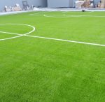 1730591713823-ynk7ln