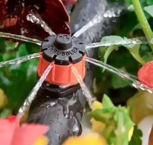 1730592122461-4bhv3m