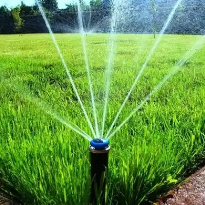 1730592122462-732813