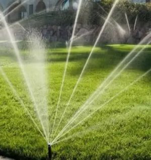 1730592122462-ucb5j5