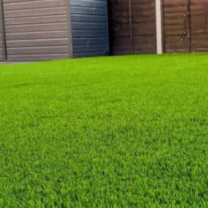 عشب صناعي ارضي